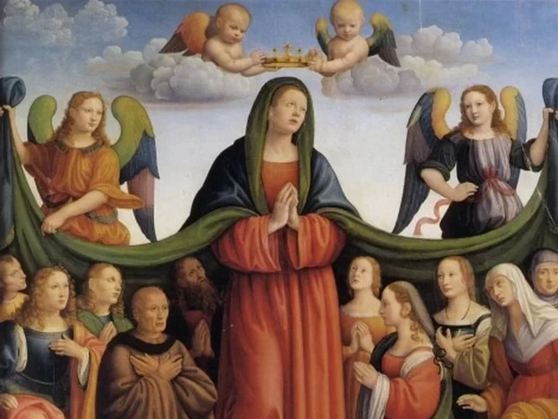 1447-Raffaello Botticini - Madonna della Misericordia e donatori - Bologna, Pinacoteca Nazionale